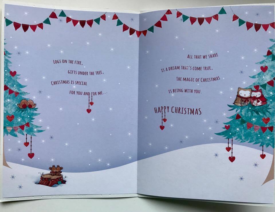 GIRLFRIEND, NICE VERSE OWL LOVE COUPLE CHRISTMAS GREETING CARD 