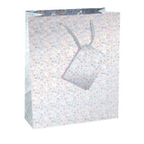 Pack of 12 Medium Assorted Coloured Holographic Gift Bags