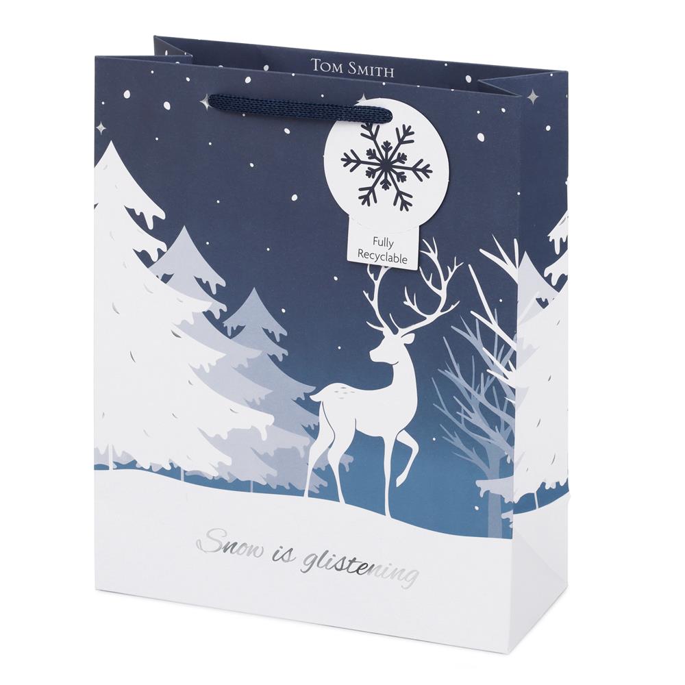 Winter Wonderland Medium Christmas Gift Bag
