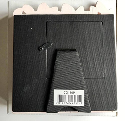 Baby Owl Series Girls Pink Small Photo Frame - 3"x3" Picture