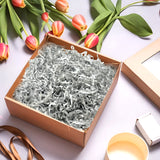 Silver Tissue Shred 20g