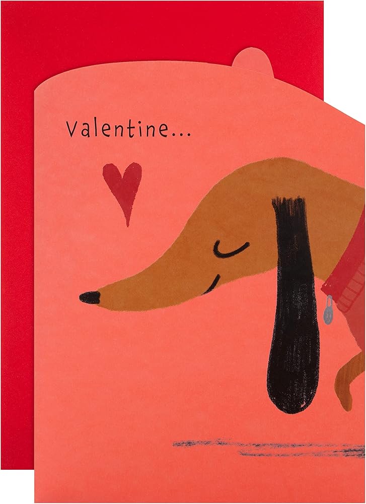 Sausage Dog Design Large Fold Out Jumbo Valentine's Day Card