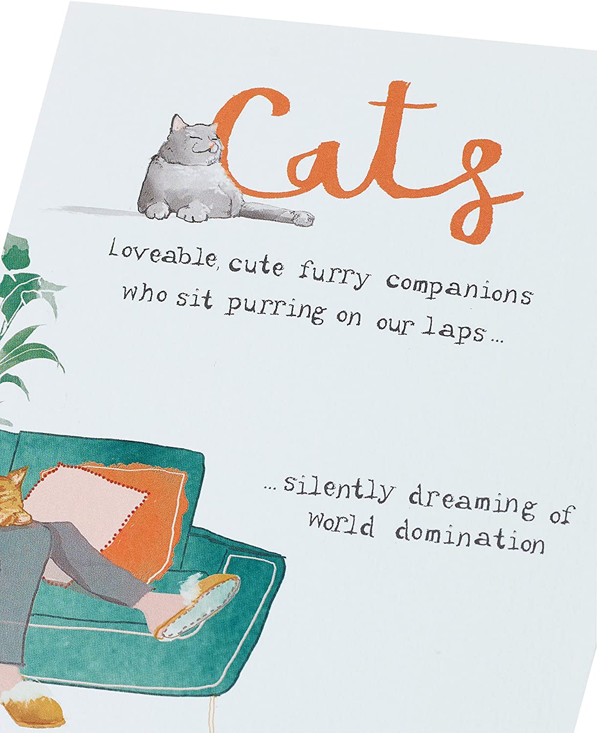 Funny Cats Humour Birthday Card {DC}