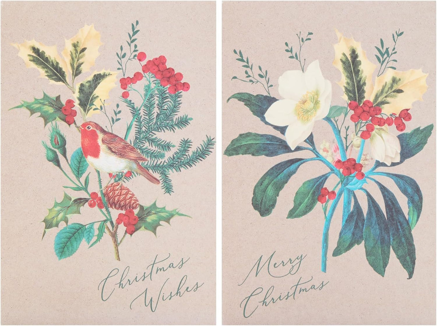 Multipack of 8 RHS Rose & Robin Design Christmas Cards