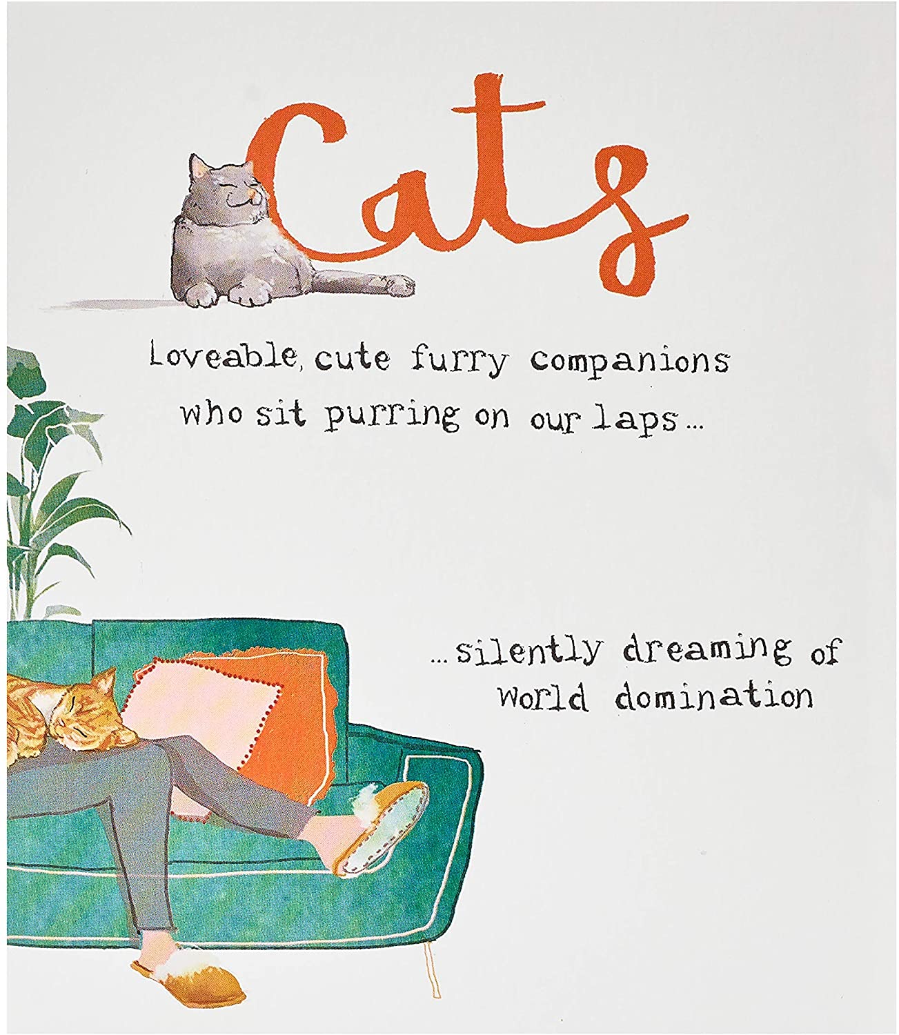 Funny Cats Humour Birthday Card {DC}