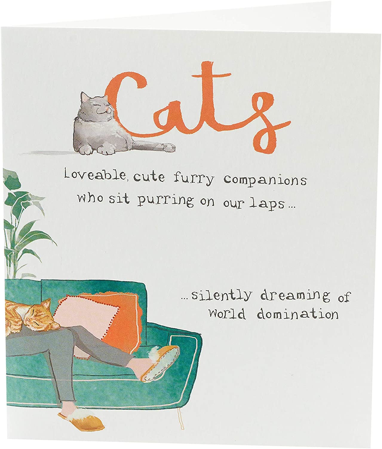Funny Cats Humour Birthday Card {DC}