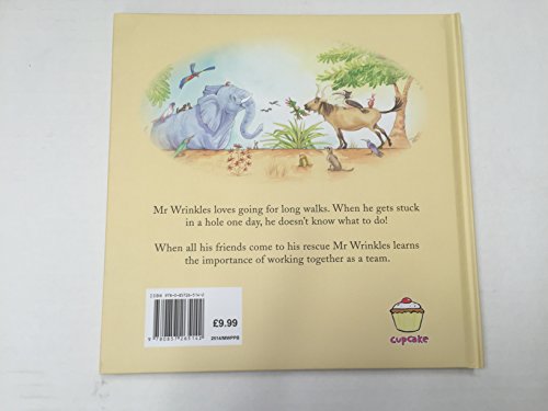 Mr Wrinkles Paperback