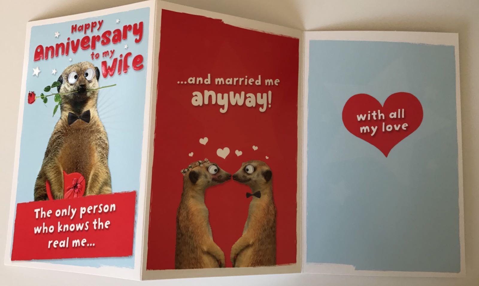 UK Greetings Wife Anniversary Fold Out Greetings Card Meerkat 8.25" x 5.25" Code 407132--1 
