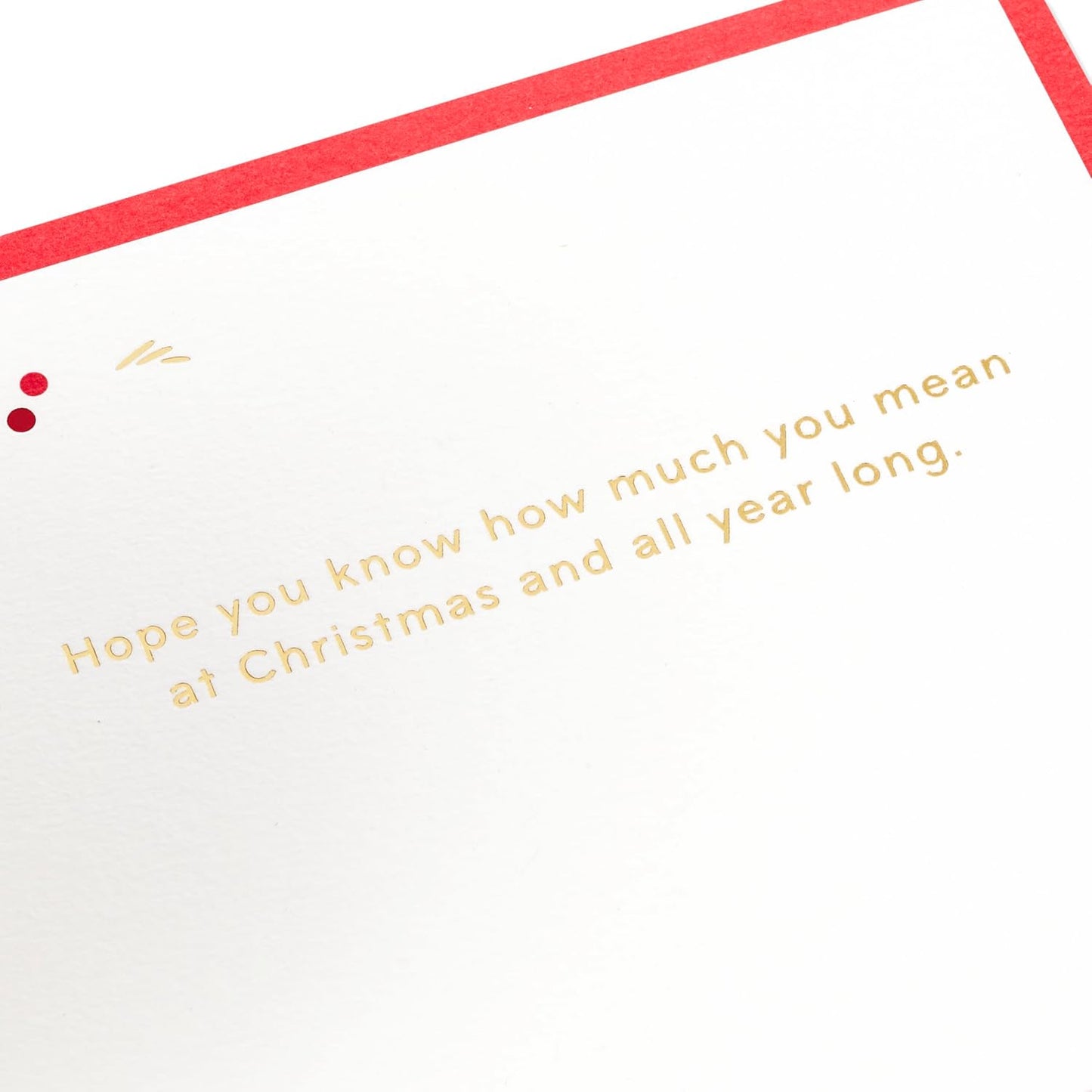Poinsettia Flowers 3D and Pop Up Christmas Card {DC}