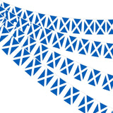 Scotland Rectangle Bunting 10m with 20 Flags