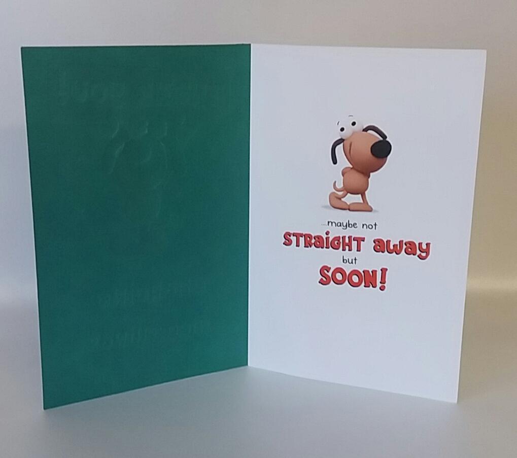 Thank You Humour Nice Things Greeting Card