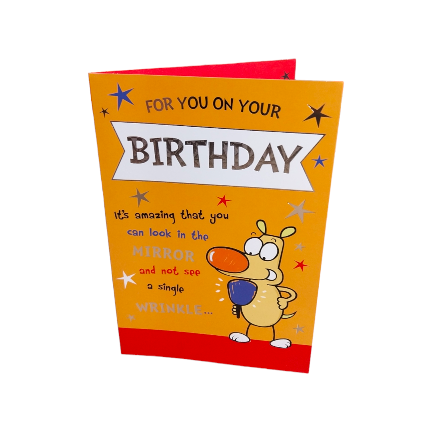 For You On Your Birthday Cute Dog Holding Mirror Design Open Witty Words Card