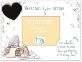 Me to You Tiny Tatty Teddy Baby Countdown Frame Pregnancy Gift