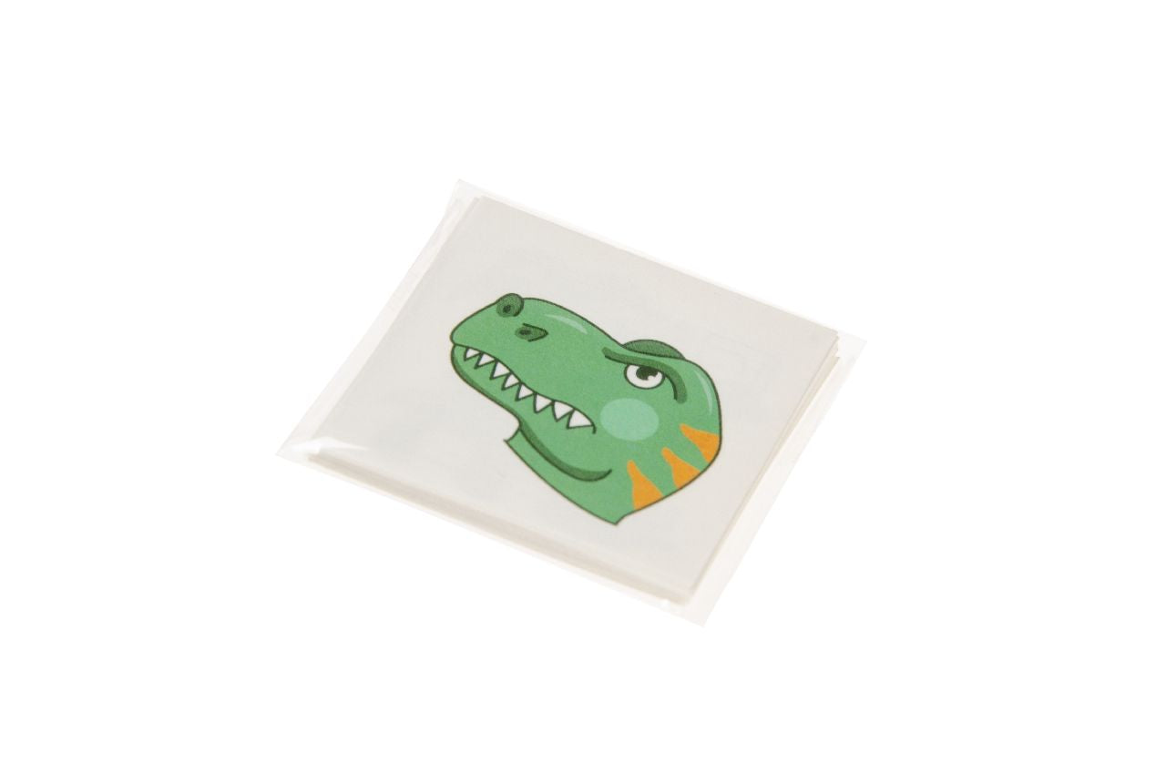 12 Pieces Dinosaur Tattoos