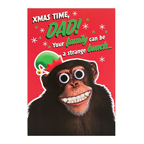 Hallmark Medium Dad "Strange Bunch" Christmas Card 