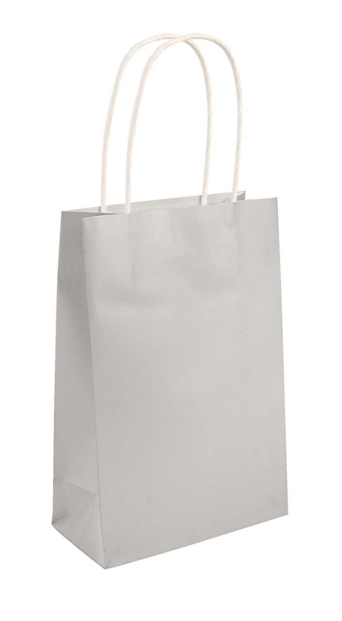 Silver Bag with Handle