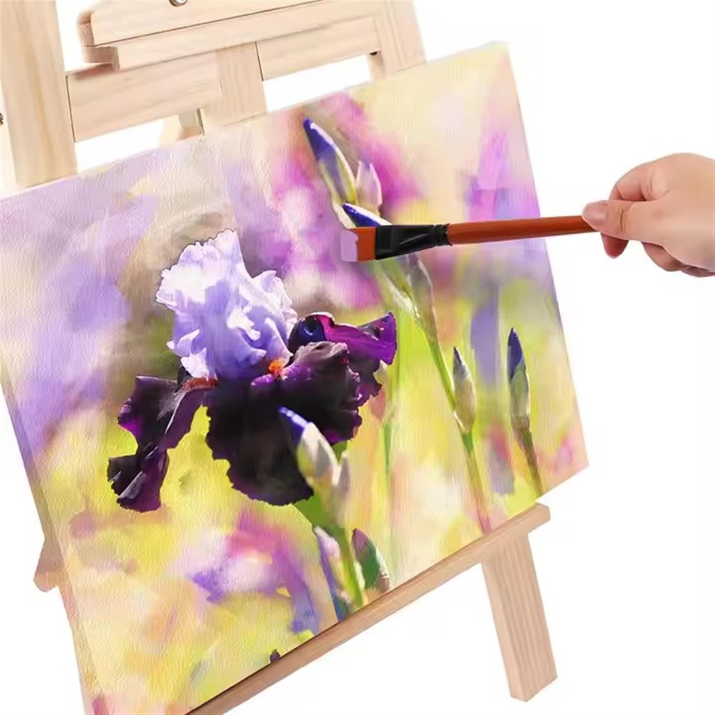 Pack of 11 Pieces Water Color Brush Set for Painting