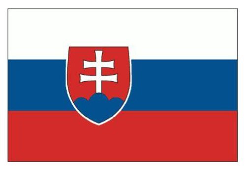Slovakia Flag 5ft X 3ft {DC}