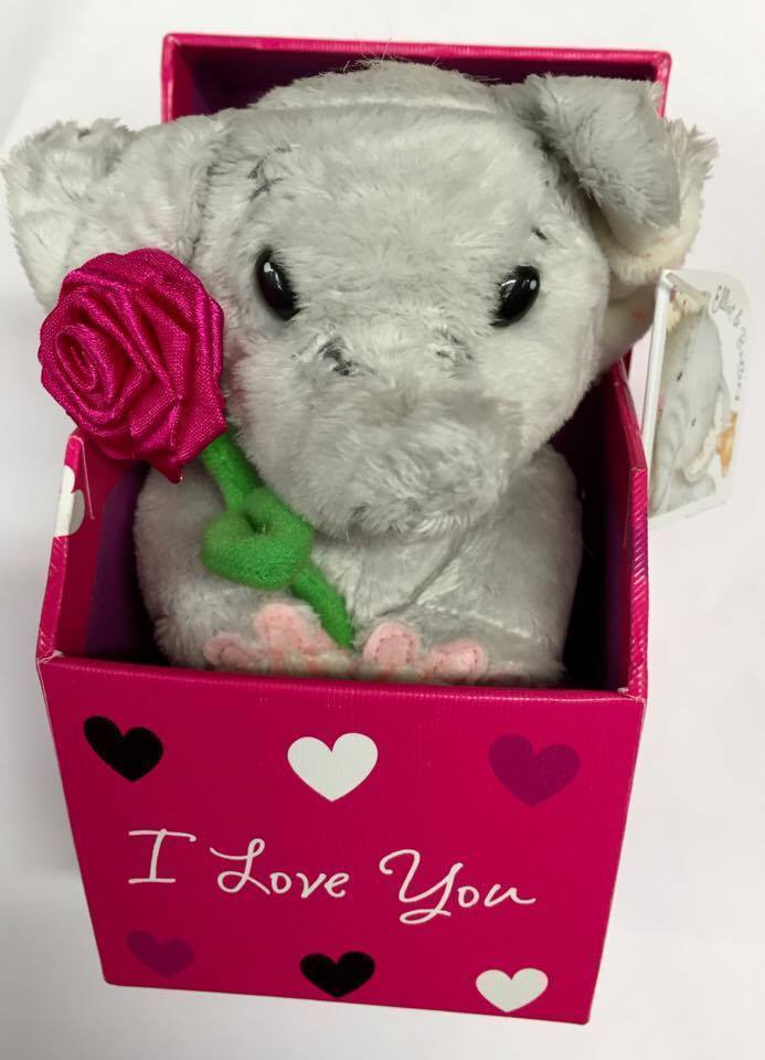 Elliot & Buttons Wife Christmas, Valentines Mother's Day Gift Box {DC}