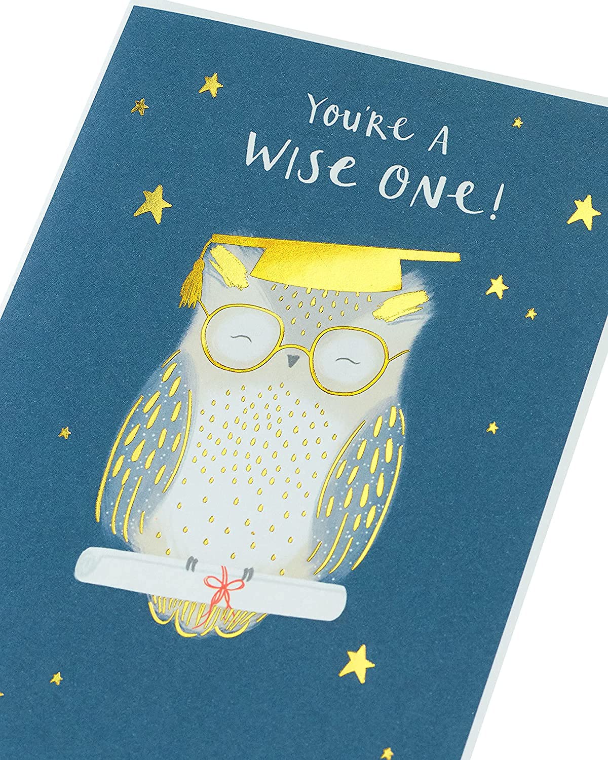 Graduation Congratulations Card Owl, You're a Wise One! Gold Foil Finish 
