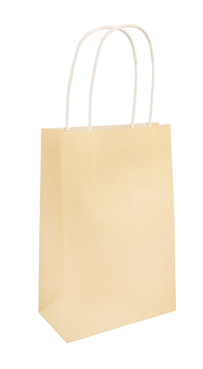 Ivory Bag with Handle