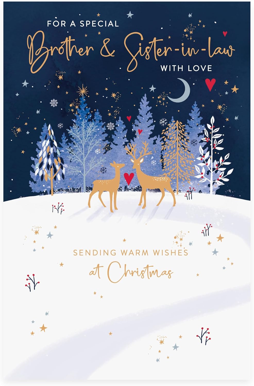 Winter Scene Reindeers Design Brother & Sister in law Christmas Card