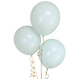 Bag of 100 Light Green Colour 12" Latex Balloons