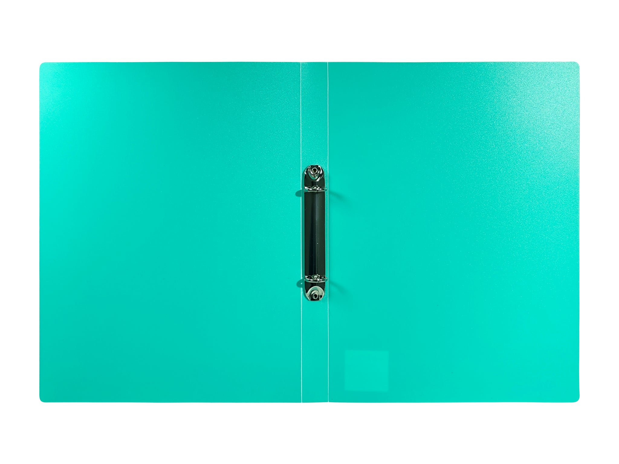 Pastel Green A4 Ring Binder