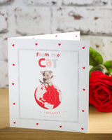 For Him From The Cat Valentine's Day Card